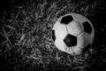 B&W old dirty ball on grass Royalty Free Stock Photo