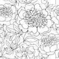 B/w peony floral sketch. spring flower Royalty Free Stock Photo