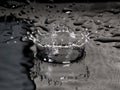 B&W water drop splash crown Royalty Free Stock Photo