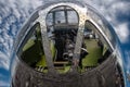 B29 WWII Bird