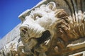 Baalbek - detail (lion head)