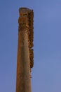 Baalbek, Lebanon ancient roman ruins Royalty Free Stock Photo