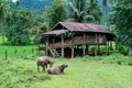 Baan Ja Bo Noodle Mae Hong Son Province