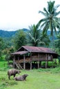 Baan Ja Bo Noodle Mae Hong Son Province