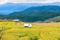 Baan Pa Bong Piang Rice Terraces in Chiang Mai Province Royalty Free Stock Photo