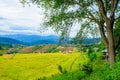 Baan Pa Bong Piang Rice Terraces in Chiang Mai Province Royalty Free Stock Photo