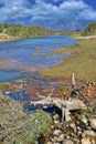 Babai River, Royal Bardia National Park, Nepal Royalty Free Stock Photo