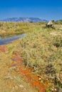 Babai River, Royal Bardia National Park, Nepal Royalty Free Stock Photo