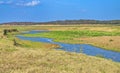 Babai River, Royal Bardia National Park, Nepal Royalty Free Stock Photo