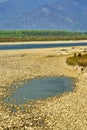 Babai River, Royal Bardia National Park, Nepal Royalty Free Stock Photo