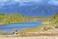 Babai River, Royal Bardia National Park, Nepal Royalty Free Stock Photo