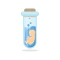 Babay in test tube. Royalty Free Stock Photo