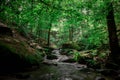 babbling brook, forest, wood, water