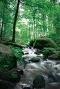 babbling brook, forest, wood, water