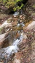 Babbling brook in the mountains