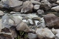 Babbling brook in Mountains that has a rocky terrain and beautiful landscape