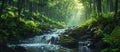 Babbling Stream in Lush Green Forest