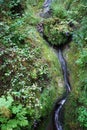 A babbling stream of Marienschlucht ravine.