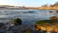 Babbling Stream at the Shore