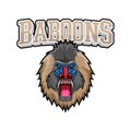 Babbons Head Color Logo Illustration Design