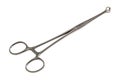 Babcock forceps