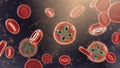 Babesia parasites inside red blood cell, the causative agent of babesiosis Royalty Free Stock Photo