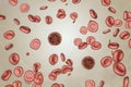 Babesia parasites inside red blood cell, the causative agent of babesiosis Royalty Free Stock Photo