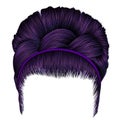 Babette of hairs with pigtail purple colors . trendy women fashi Royalty Free Stock Photo