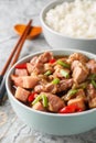 Babi kecap is an Indonesian braised pork with sweet soy sauce kecap manis served with rice closeup. Vertical Royalty Free Stock Photo