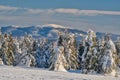 Babia hora mountain from Kubinska Hola during winter