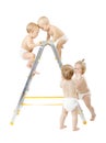 Babies climbing on stepladder, Competition