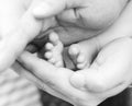 Babies foots and man's hands Royalty Free Stock Photo