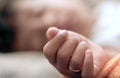Babies Hand Close Up Royalty Free Stock Photo
