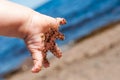 Babies hand Royalty Free Stock Photo