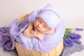 Babies photoshoot, newborn baby sleep, little boys and girls Royalty Free Stock Photo