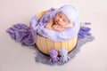 Babies photoshoot, newborn baby sleep, little boys and girls Royalty Free Stock Photo