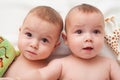 Babies with toys Royalty Free Stock Photo