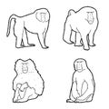 Baboon Animal Vector Illustration Hand Drawn Cartoon Art