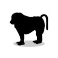 Baboon ape primate black silhouette animal Royalty Free Stock Photo