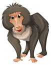 Baboon with gray fur