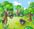 Baboon monkeys in the forest