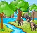 Baboon monkeys in the woods