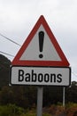 Baboon warning sign Royalty Free Stock Photo