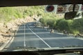 Baboons on the road in Tanzania Royalty Free Stock Photo