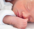 Baby Royalty Free Stock Photo