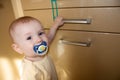 Baby 8-9 months tries to open the door cupboard Royalty Free Stock Photo