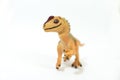 Baby allosaurus on white background