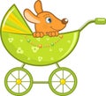 Baby animal in the green stroller Royalty Free Stock Photo