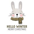 Baby animal rabbit, winter animal, cute animal cartoon vector, thickly clothed animal