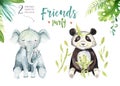 Baby animals nursery isolated illustration for children. Watercolor boho tropical drawing, child cute tropic elephant